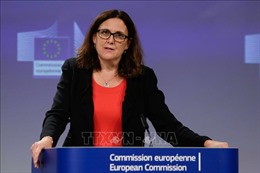EU tuyên bố đáp trả biện pháp thuế quan của Mỹ 