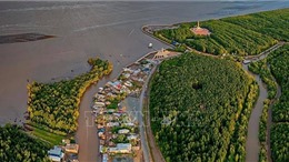Khởi động dự án Bảo tồn môi trường sống ven biển Đồng bằng sông Cửu Long