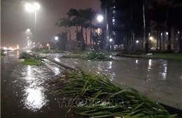 Hoàn lưu bão số 5 tiếp tục gây mưa lớn tại các tỉnh từ Thừa Thiên - Huế đến Bình Định 