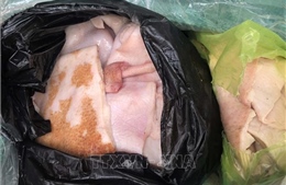 Thanh Hóa: Phát hiện xe ô tô chở gần 1 tấn bì lợn đã bốc mùi ôi thiu