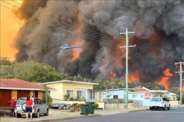 Cháy rừng tại Australia diễn biến phức tạp hơn