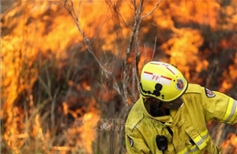 Một đối tượng bị buộc tội gây ra cháy rừng dọc bờ biển miền Đông Australia