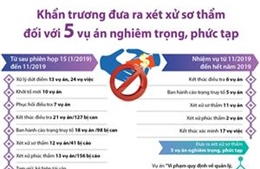 Khẩn trương đưa ra xét xử sơ thẩm đối với 5 vụ án nghiêm trọng, phức tạp