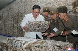 Nhà lãnh đạo Triều Tiên nỗ lực thúc đẩy các kế hoạch kinh tế
