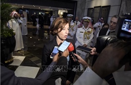 Đối thoại an ninh Manama: Pháp đặt dấu hỏi về chính sách của Mỹ 