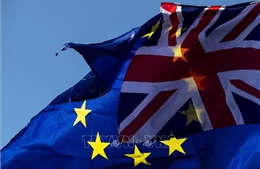 EU nhất trí thành lập Ủy ban châu Âu mà không có đại diện của Anh