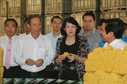 Phó Chủ tịch nước Đặng Thị Ngọc Thịnh làm việc tại Tổng Công ty Cao su Đồng Nai