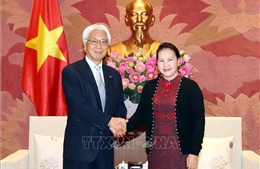 Chủ tịch Quốc hội Nguyễn Thị Kim Ngân tiếp Phó Chủ tịch Thượng viện Nhật Bản
