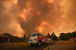Gần 200 đám cháy rừng đang hoành hành tại Australia 