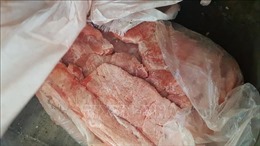 Quảng Trị: Tiếp tục thu giữ hơn 4 tạ phụ phẩm lợn bốc mùi 