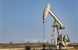 Giá dầu mỏ toàn cầu năm 2020 đứng trước nguy cơ sụt giảm