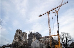 Chuẩn bị thực hiện phần phức tạp nhất trong phục dựng Nhà thờ Đức Bà Paris