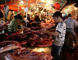 Cân đối nguồn cung thịt lợn nhằm bình ổn thị trường Tết 2020