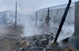 Đại sứ quán Việt Nam tại Nga xác minh thông tin người Việt gặp nạn trong vụ cháy nhà kính 