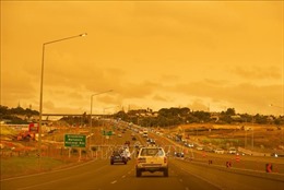 Cháy rừng tại Australia: Lan truyền nhiều thông tin sai lệch trên mạng xã hội