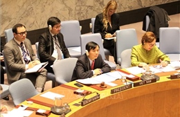 Việt Nam chủ trì phiên họp về củng cố hòa bình ở Tây Phi