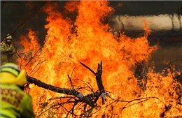 Cháy rừng tại Australia: Ban bố nhiều cảnh báo sơ tán mới