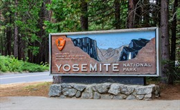 Mỹ: Trên 170 người mắc bệnh nghi do novovirus tại Công viên quốc gia Yosemite