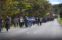 Mỹ mở 4 văn phòng tại Guatemala xử lý đơn xin nhập cư 
