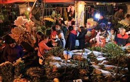 Chợ hoa Quảng Bá nhộn nhịp đêm cuối năm