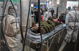 Dịch bệnh viêm phổi do virus corona: Số người tử vong tại Trung Quốc tăng lên 80 người