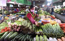 Trung Quốc kêu gọi nông dân tăng cường sản xuất lương thực