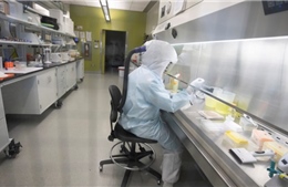 Trung Quốc đẩy nhanh việc nghiên cứu vaccine phòng ngừa virus corona