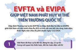 EVFTA và EVIPA giúp Việt Nam phát huy vị thế trên trường quốc tế