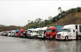 Lạng Sơn thực hiện nhiều giải pháp thúc đẩy xuất khẩu qua cửa khẩu Hữu Nghị