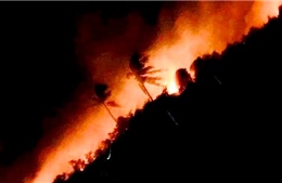 Bình Thuận: Không có vụ cháy rừng nào xảy ra tại xã Tân Bình