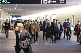 Dịch COVID-19: Nhật Bản kêu gọi người dân hạn chế tụ tập trong lễ hội hoa anh đào