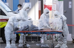Các nước tiếp tục thêm ca nhiễm và tử vong do virus SARS-CoV-2