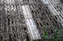 Lào Cai khẩn trương khắc phục hậu quả giông lốc, mưa đá