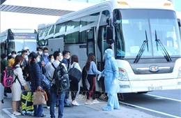 Dịch COVID-19: Khánh Hòa đón 412 công dân Việt Nam về từ Nhật Bản 