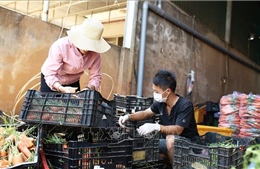 Dịch COVID-19: Tặng gần 5 tấn nông sản cho người dân đang cách ly ở Ninh Thuận