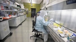 Bộ Quốc phòng Iran sản xuất hàng loạt bộ xét nghiệm virus SARS-CoV-2