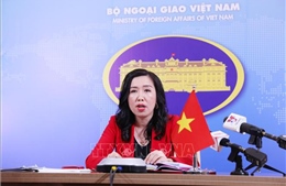 Cơ quan đại diện Việt Nam ở nước ngoài nâng cao trách nhiệm, &#39;bám trụ để hoàn thành tốt nhiệm vụ&#39;