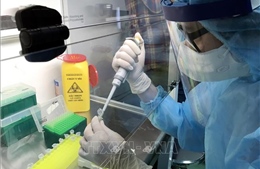 Việt Nam xét nghiệm RealTime-PCR COVID-19 tối đa 46.000 mẫu/ngày