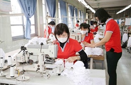 Việt Nam có thể trở thành quốc gia sản xuất khẩu trang vải lớn trên thế giới