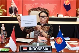 Tổng thống Indonesia sẽ tham dự 2 hội nghị đặc biệt của ASEAN về đại dịch COVID-19