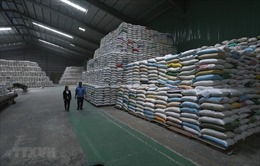 Doanh nghiệp xuất khẩu gạo gặp khó vì không đăng ký được tờ khai hải quan