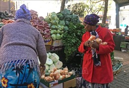 Nam Phi tăng điều khoản phúc lợi xã hội hỗ trợ người nghèo ảnh hưởng bởi dịch COVID-19