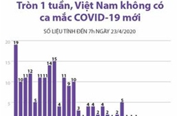 Tròn 1 tuần, Việt Nam không ghi nhận ca mắc COVID-19 mới 