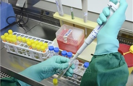 Đức thử nghiệm vaccine phòng virus SARS-CoV-2 trên nhóm tình nguyện viên đầu tiên