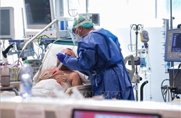 WHO cảnh báo sự mệt mỏi của các nước châu Âu có thể làm xói mòn nỗ lực chống dịch COVID-19 