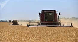 Nga gửi 25.000 tấn lúa mì viện trợ Triều Tiên