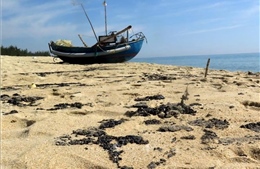 Lượng lớn chất thải màu đen tràn vào bờ biển Quảng Ngãi