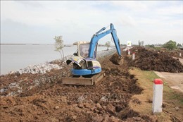 Khẩn trương khắc phục, phòng ngừa tình trạng sụt lún đất tại Cà Mau