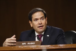 Ông Marco Rubio được chỉ định làm quyền Chủ tịch Ủy ban Tình báo Thượng viện Mỹ