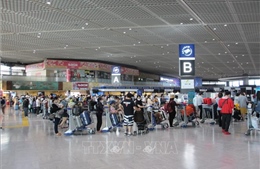 Đưa trên 340 công dân Việt Nam từ Nhật Bản về nước an toàn